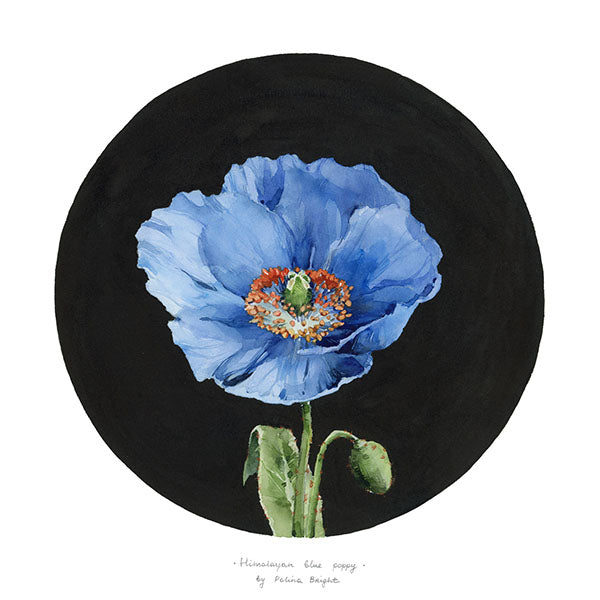 Flowers - Polina Bright