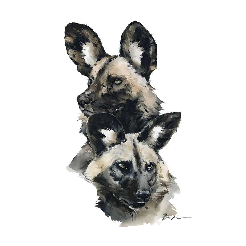 Animals collection by Polina Bright