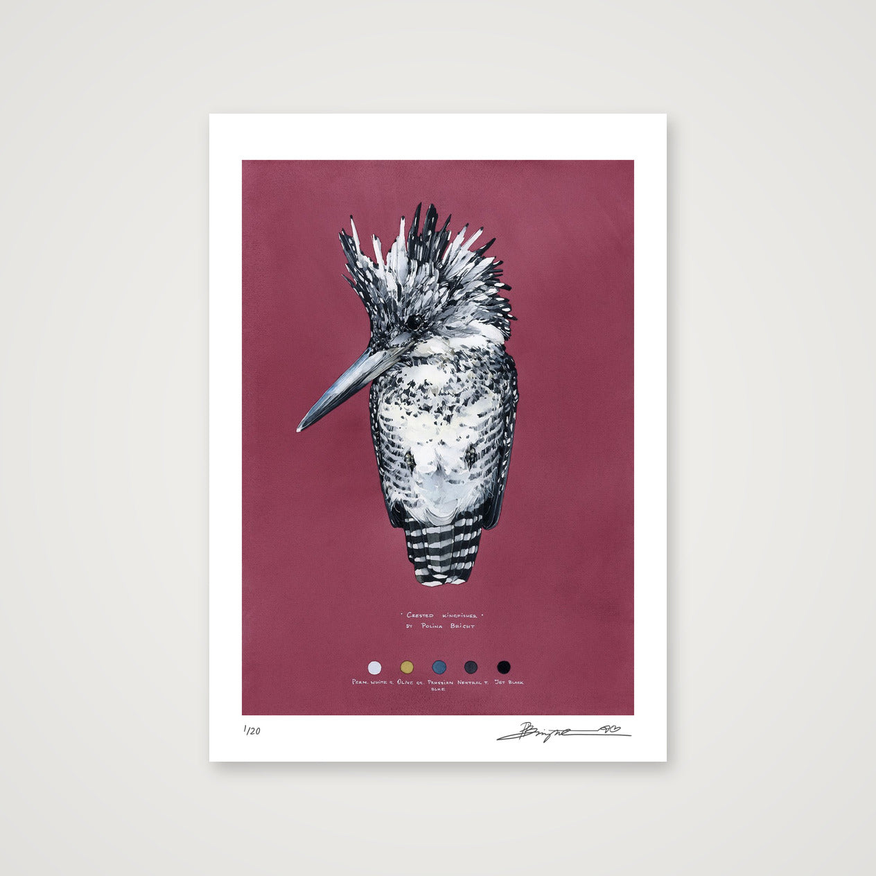 Crested Kingfisher print, A4