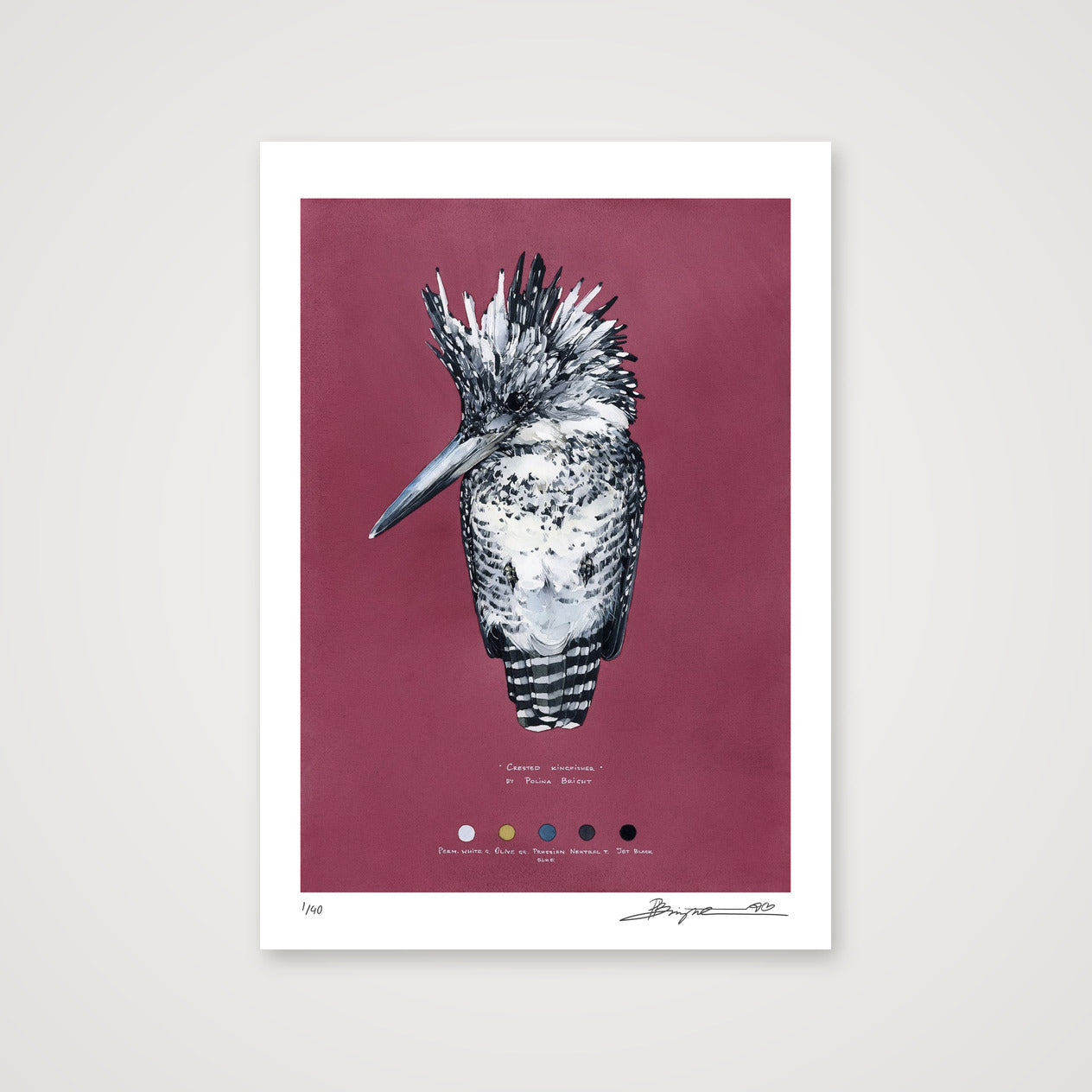 Crested Kingfisher print, A3+