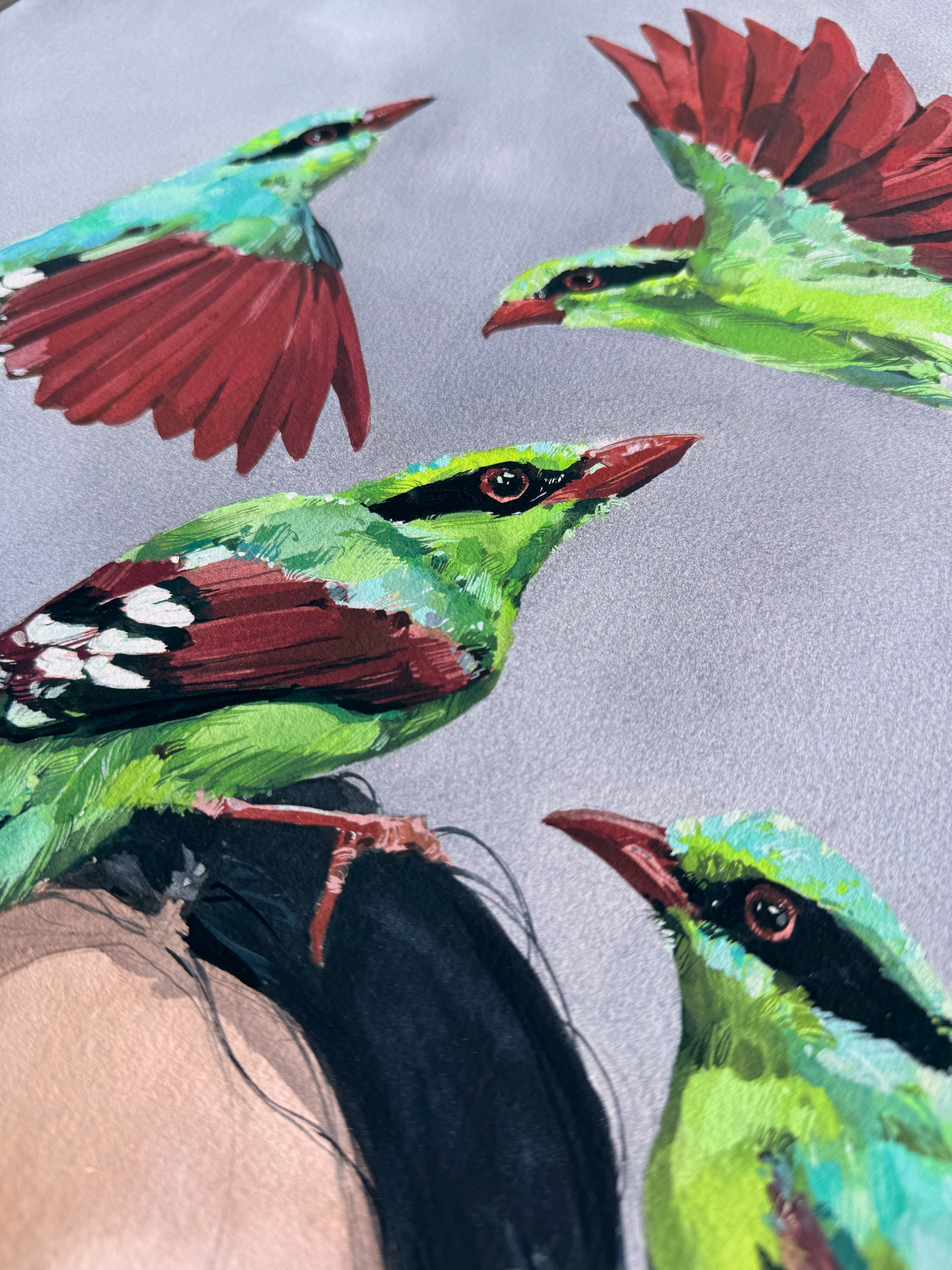 “In the world of birds”