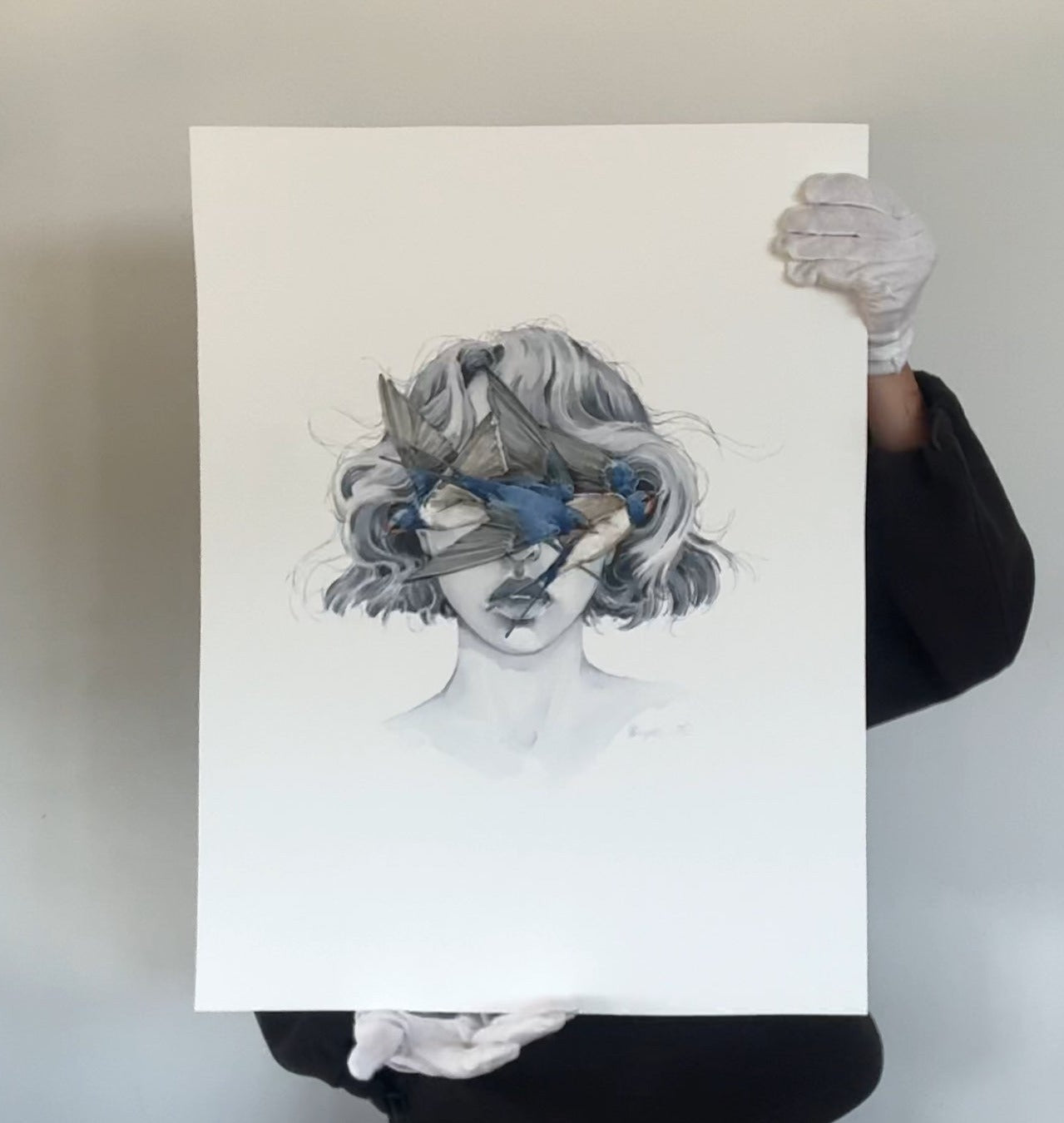 Barn Swallow blindfolded, 2024