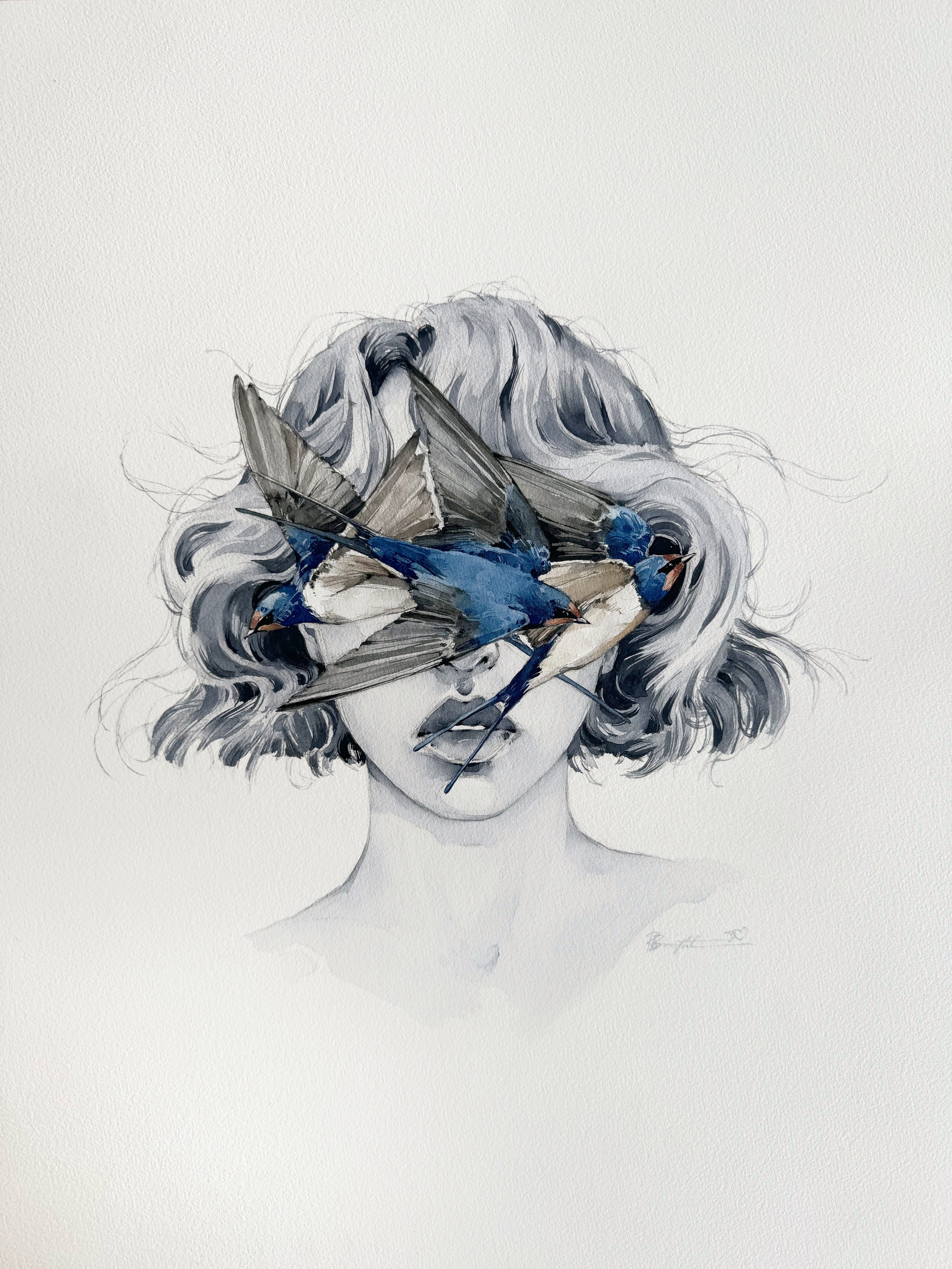 Barn Swallow blindfolded, 2024