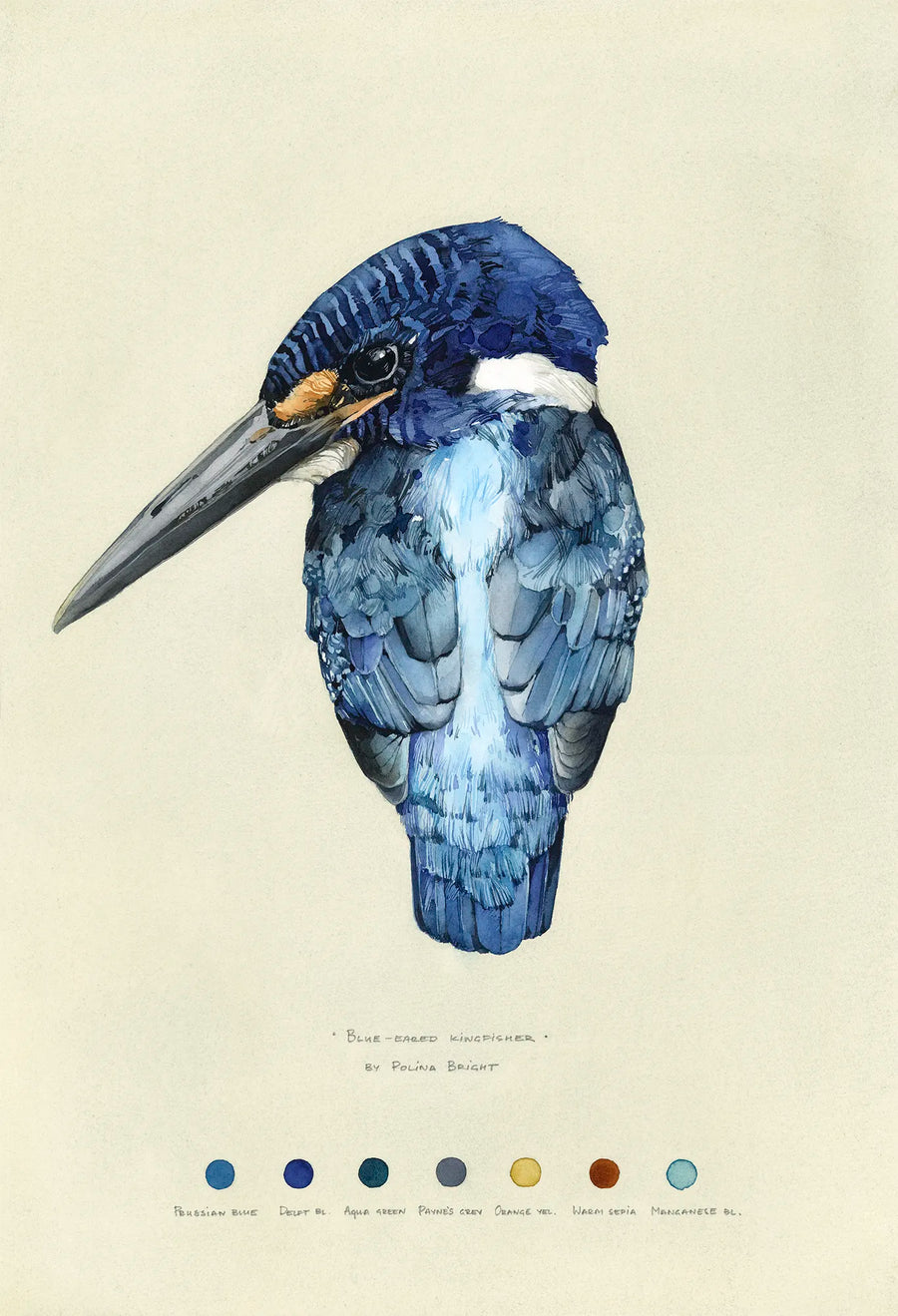Blue-eared Kingfisher by Polina Bright