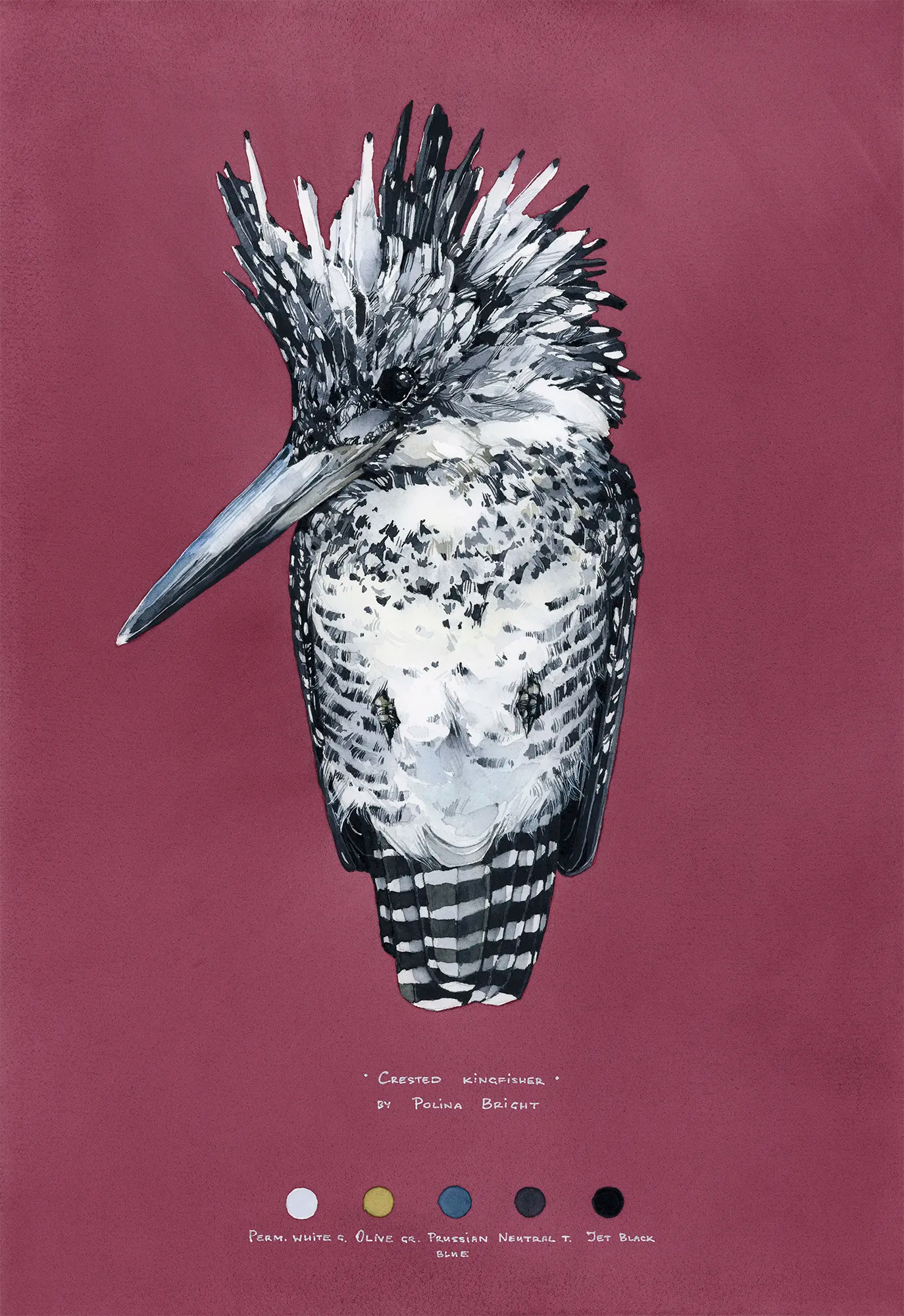 Crested Kingfisher by Polina Bright