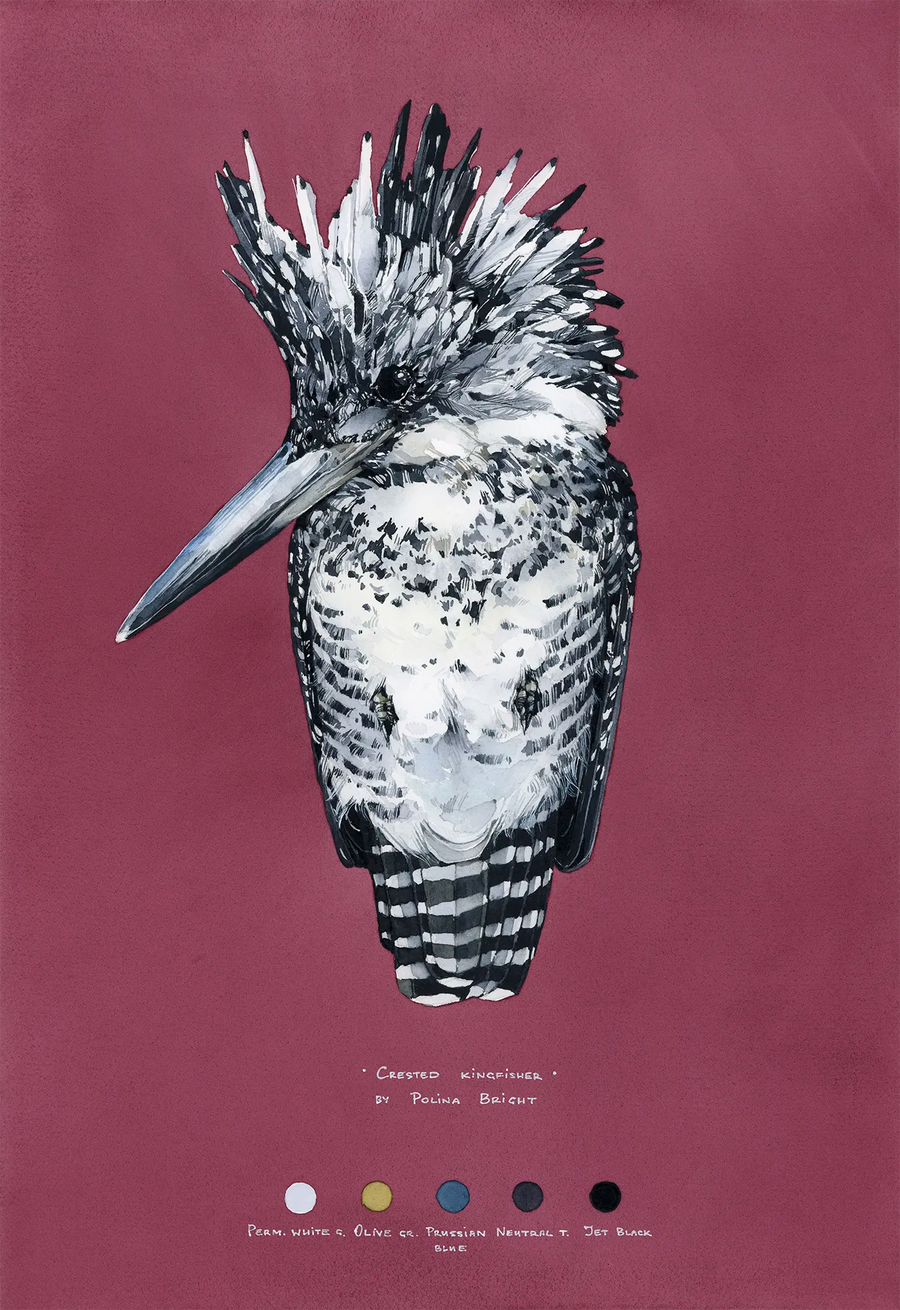 Crested Kingfisher by Polina Bright