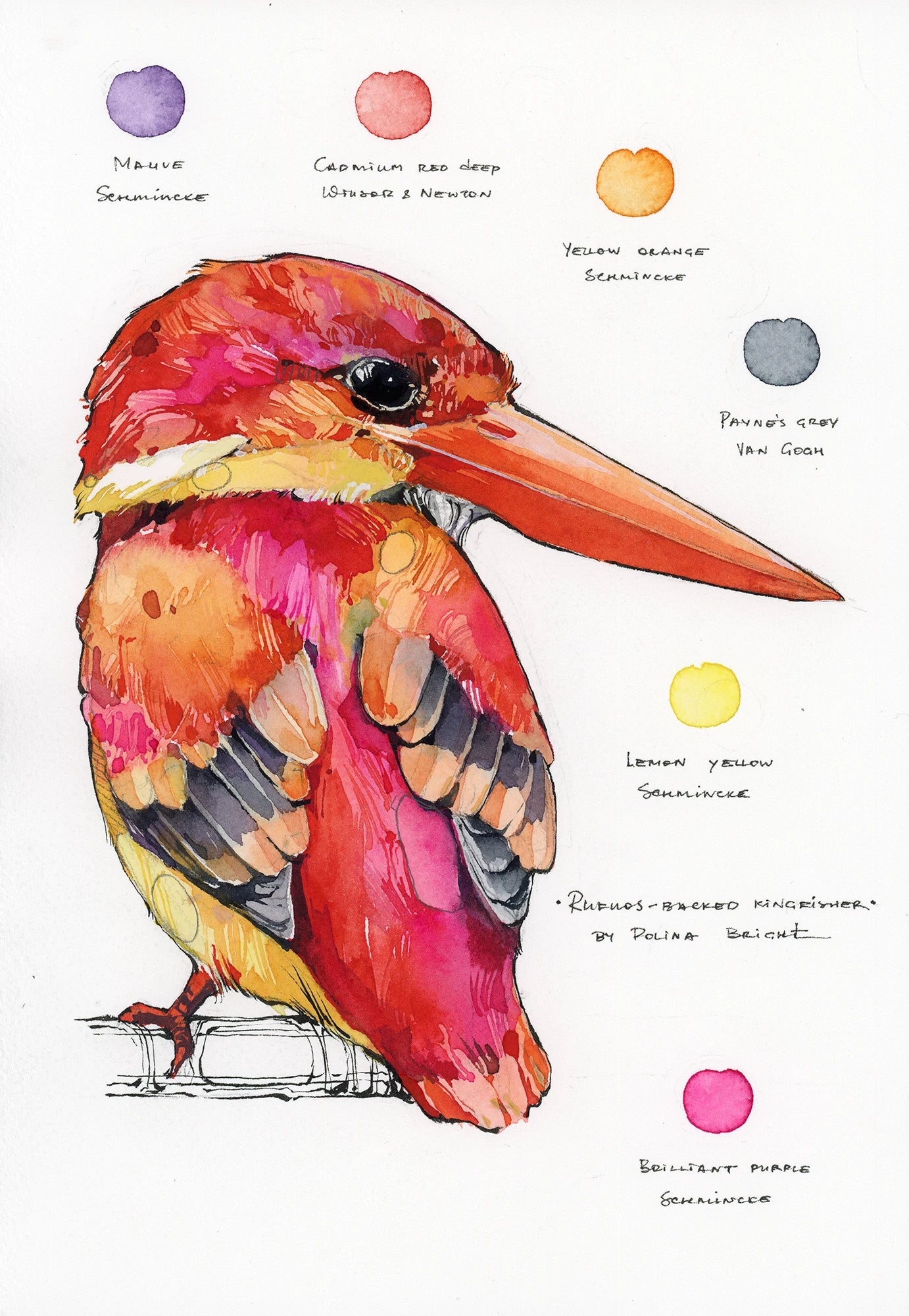 Original artwork "Rufuos Backed Kingfisher"