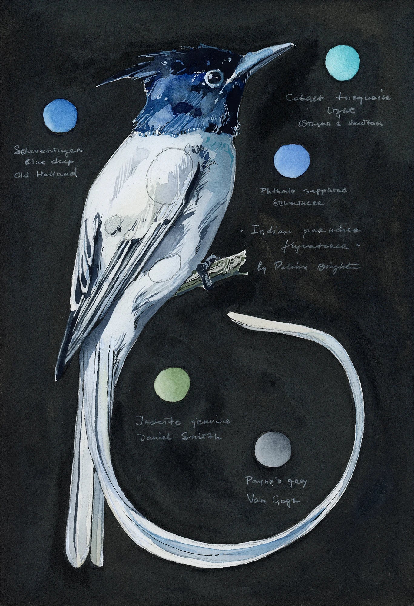 Original artwork "Indian Paradise Flycatcher"