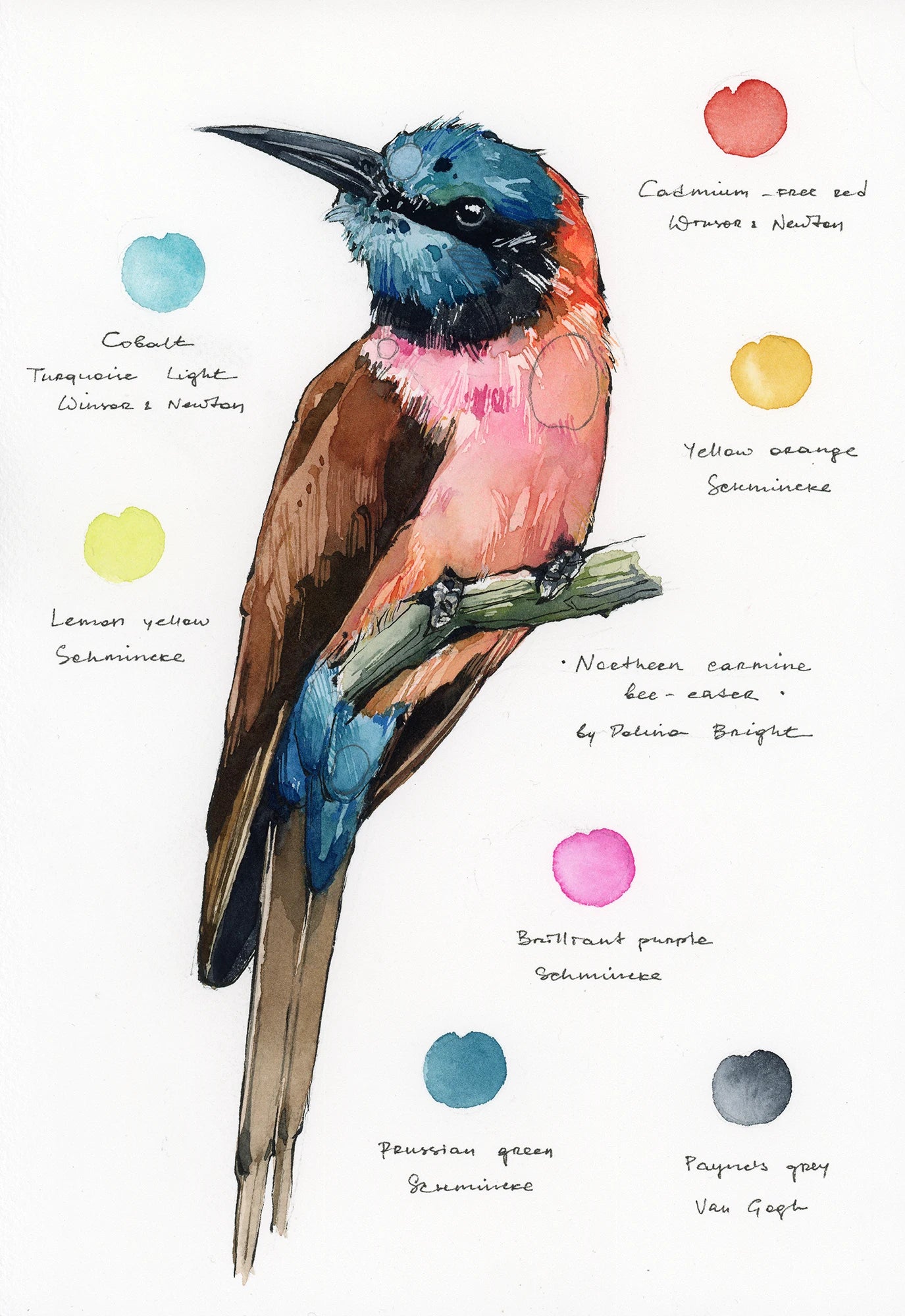 Original artwork "Northern Carmine Bee-eater"