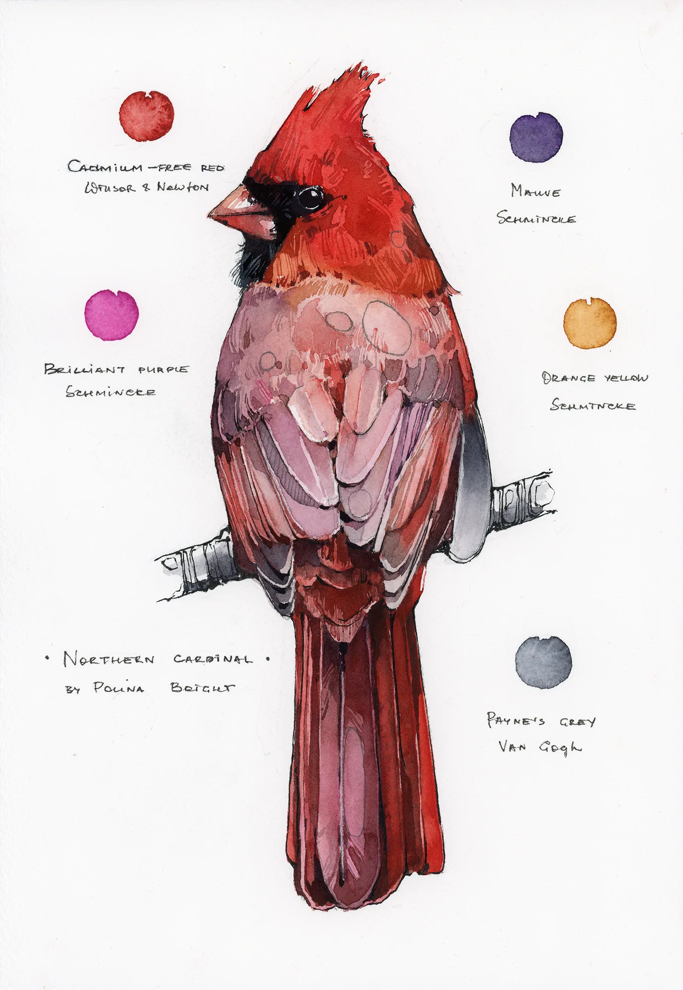 Original artwork "Northern Cardinal"