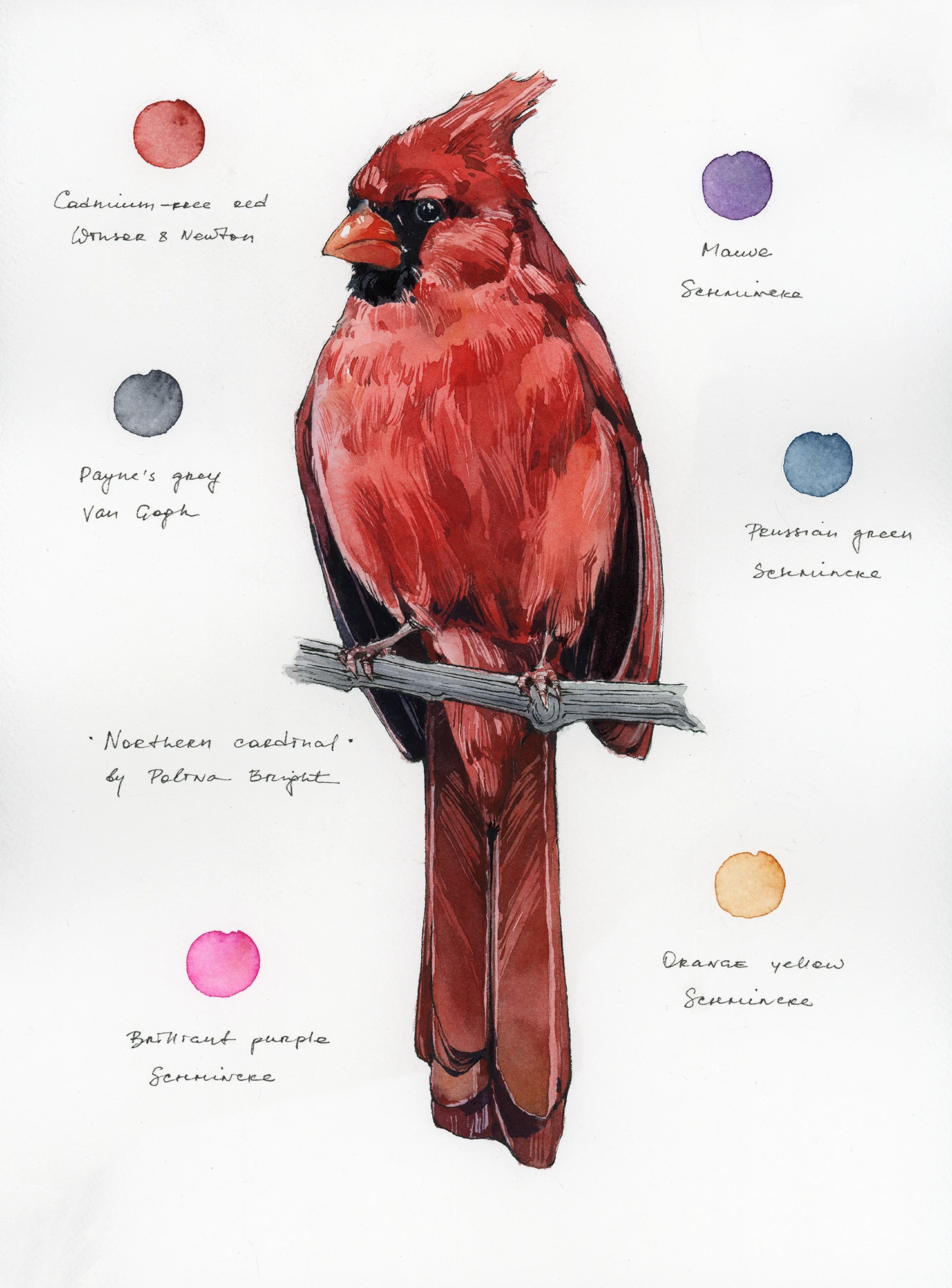 Original artwork "Northern Cardinal"