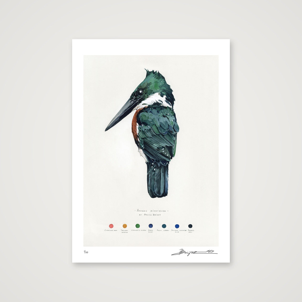 Amazon Kingfisher print, A4