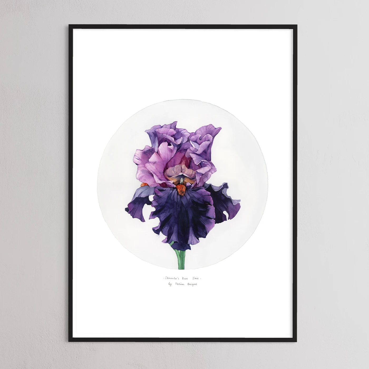 Dracula's Kiss Iris by Polina Bright