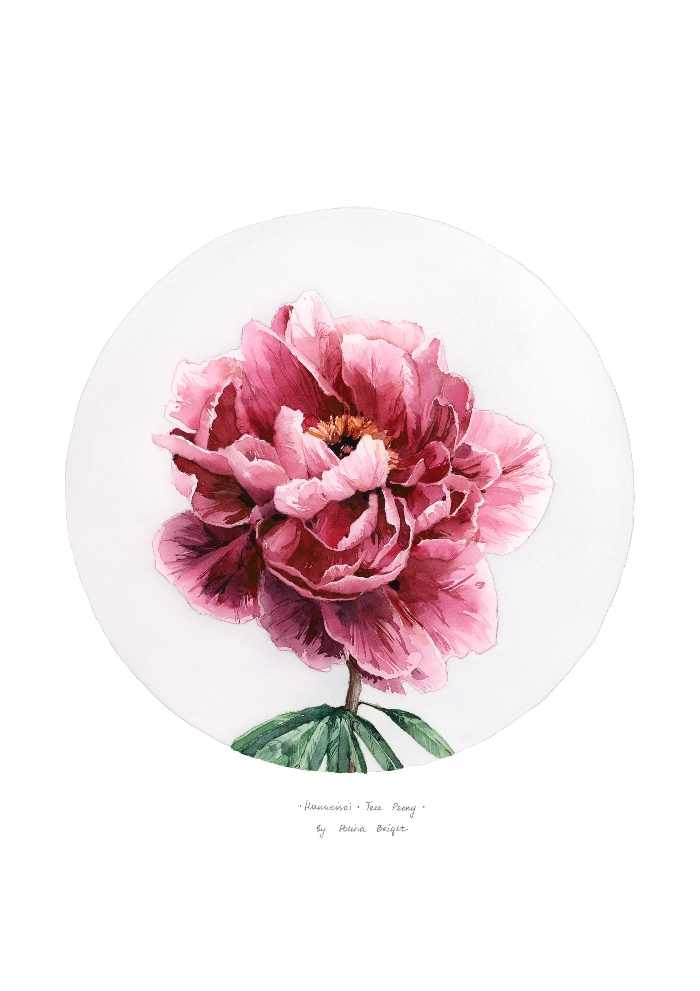 Hanakisoi tree peony print by Polina Bright