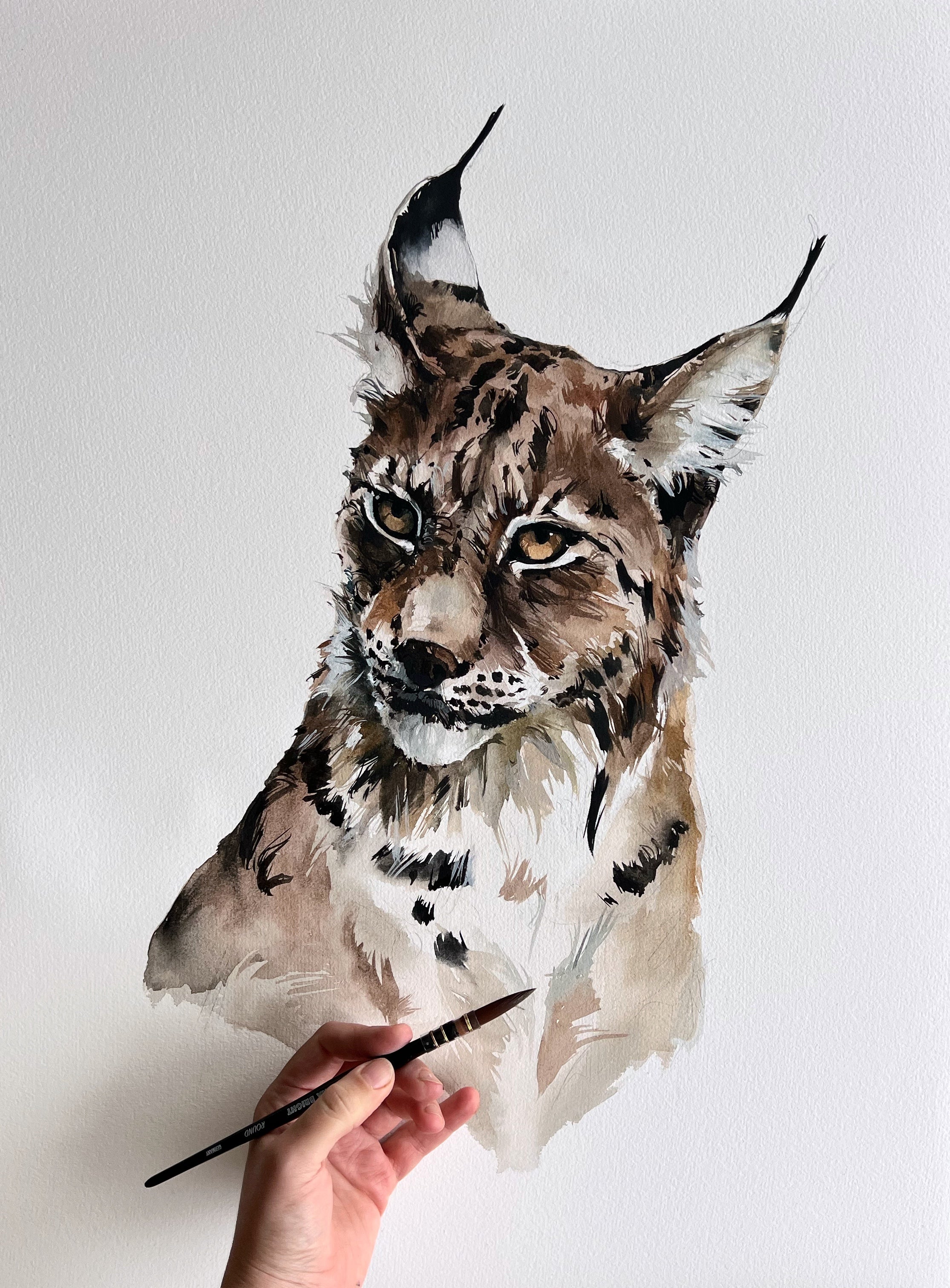 Lynx
