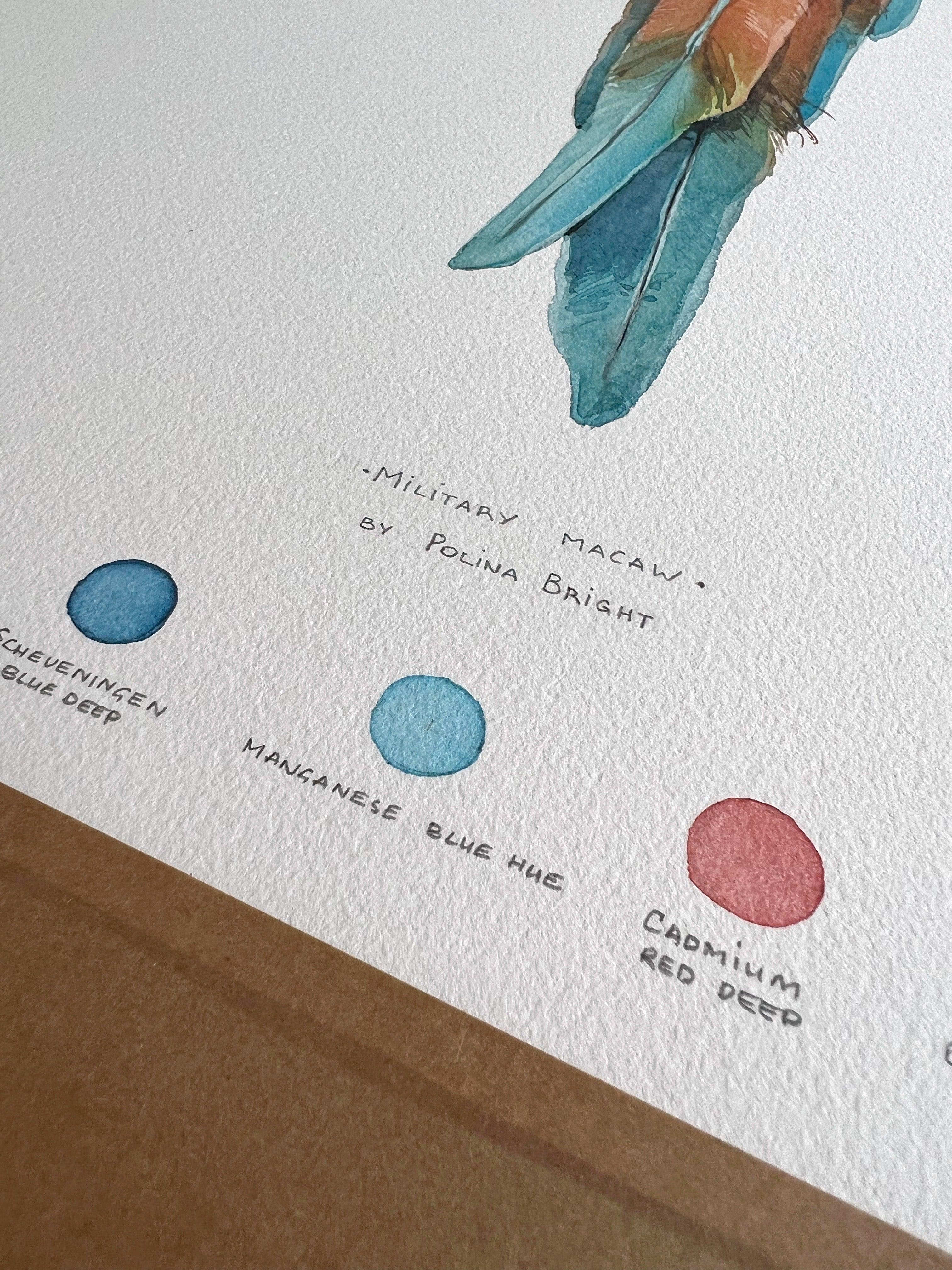 "Military Macaw" - original painting - Polina Bright