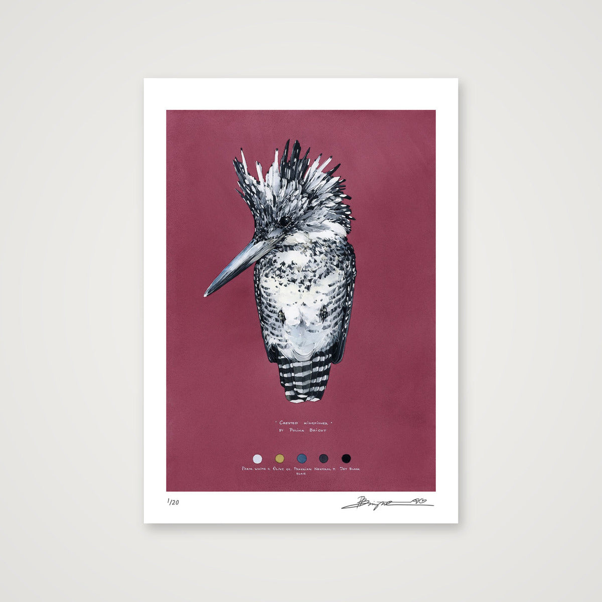 Crested Kingfisher print, A4