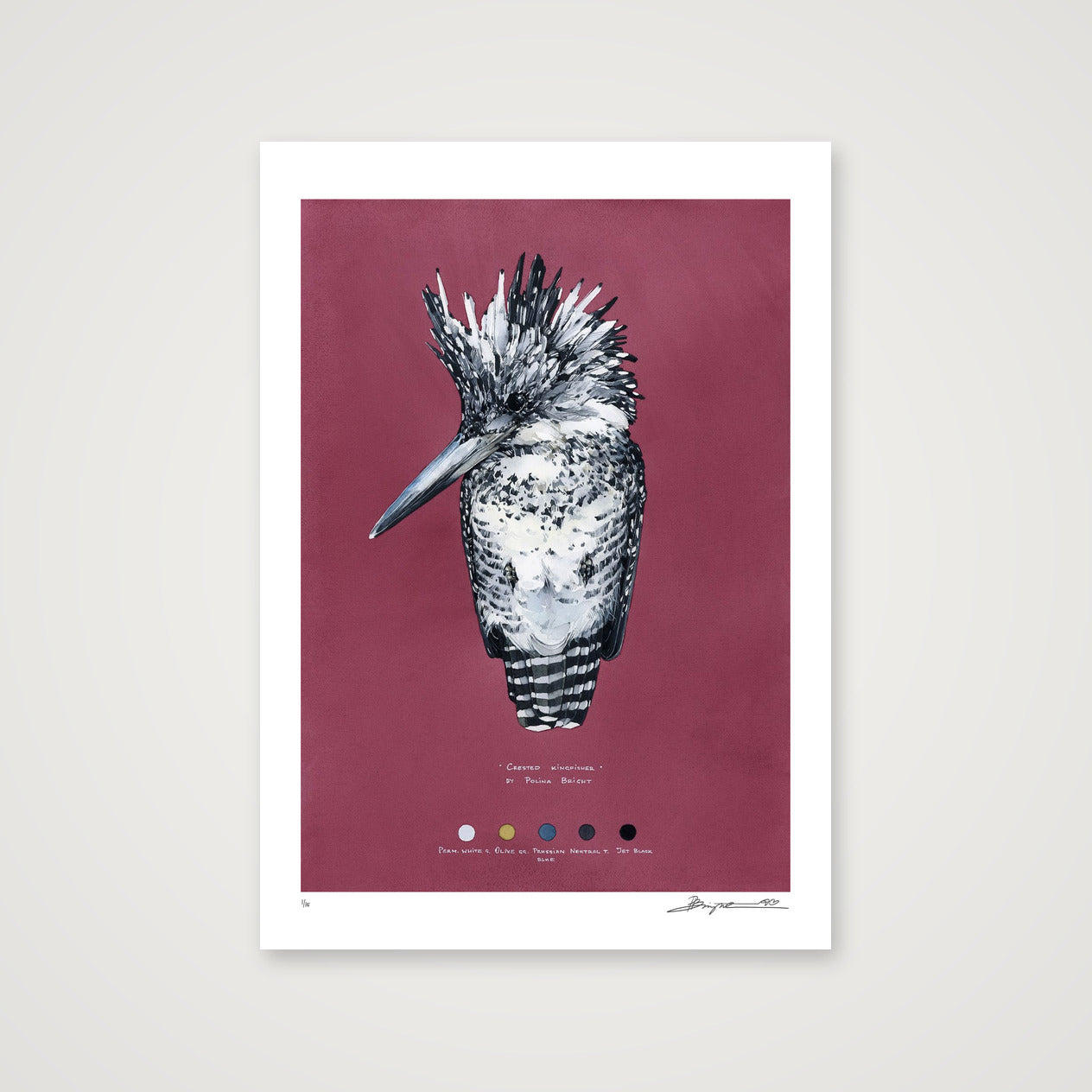 Crested Kingfisher print, A2