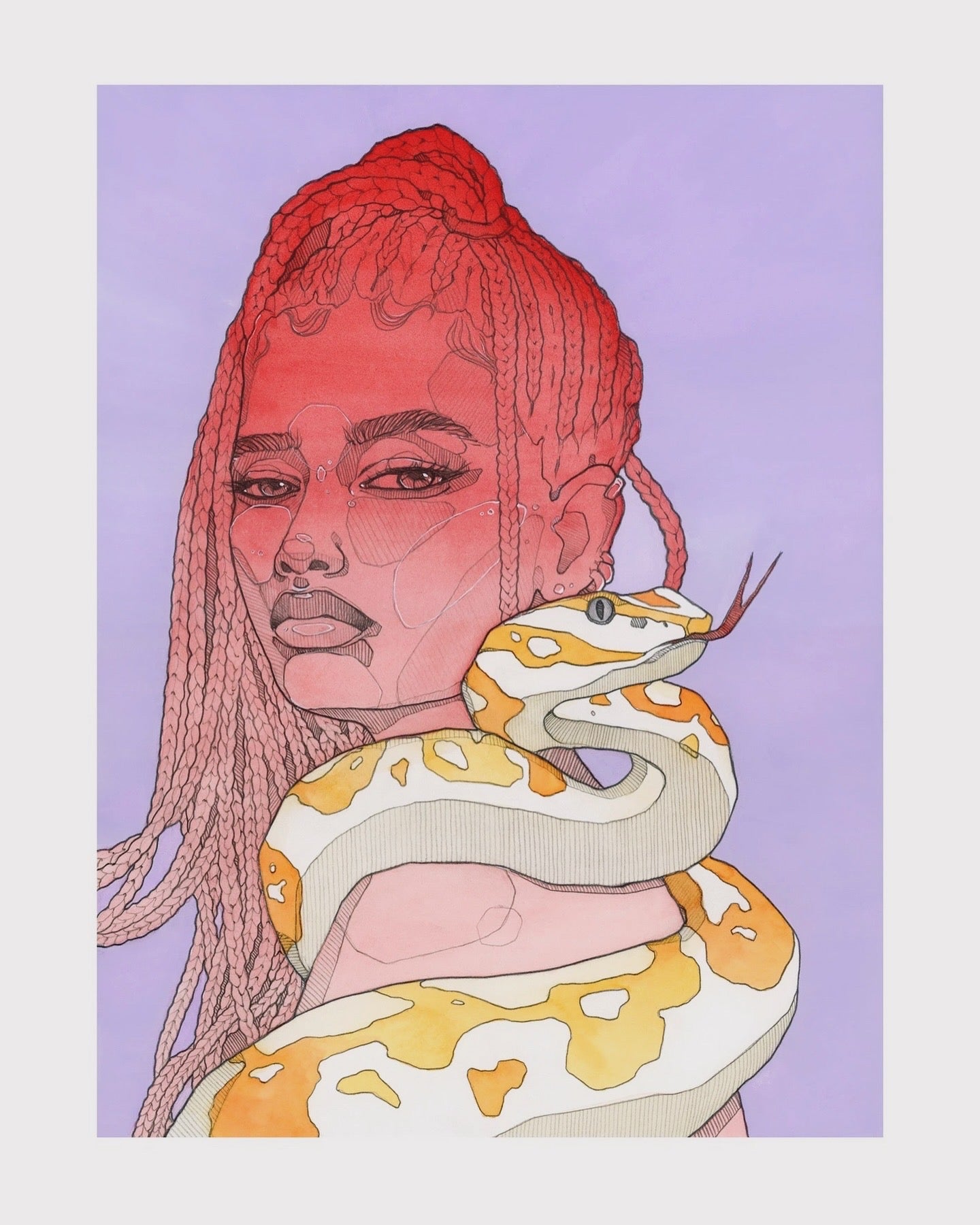 Lavender albino python