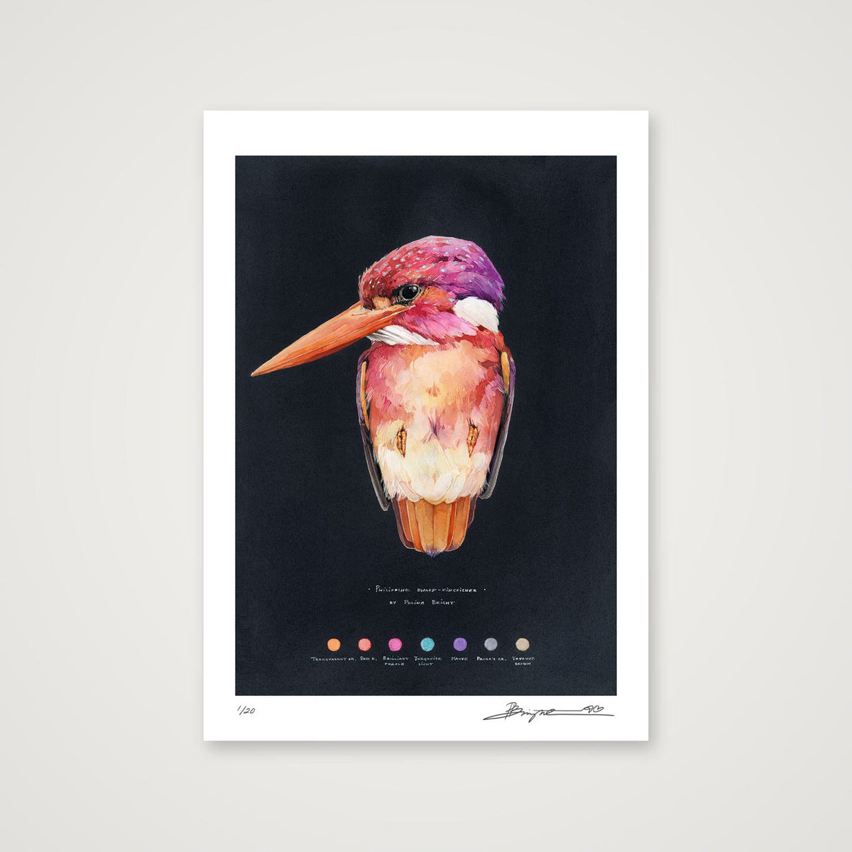 Philippine Dwarf Kingfisher print, A4