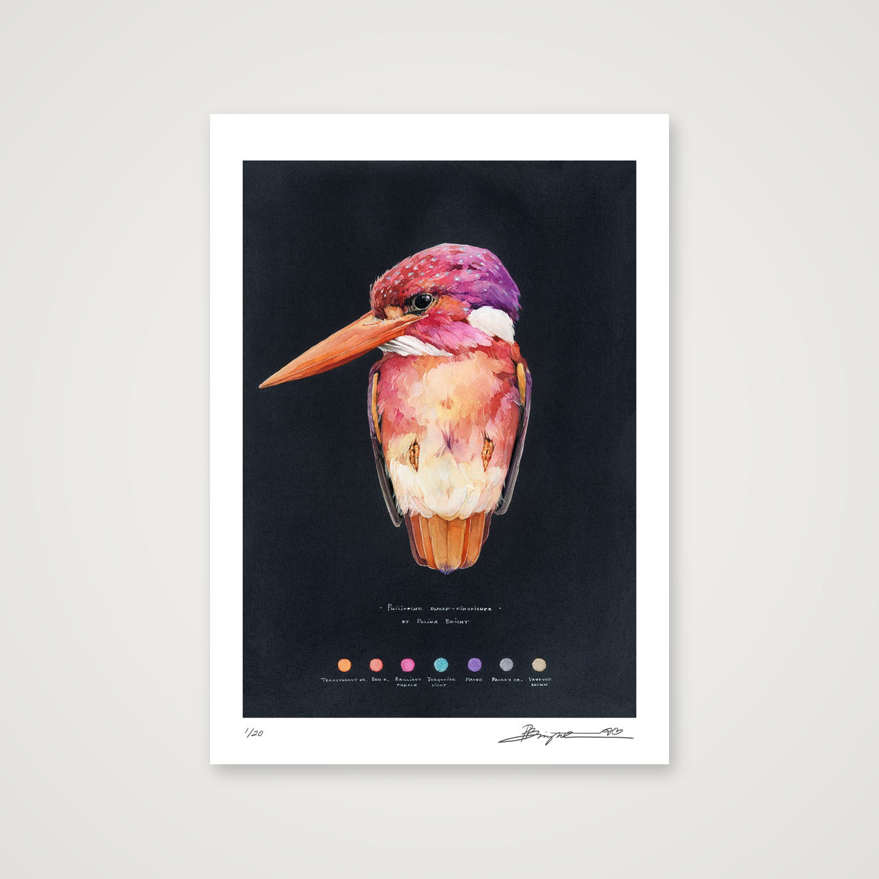 Philippine Dwarf Kingfisher print, A4