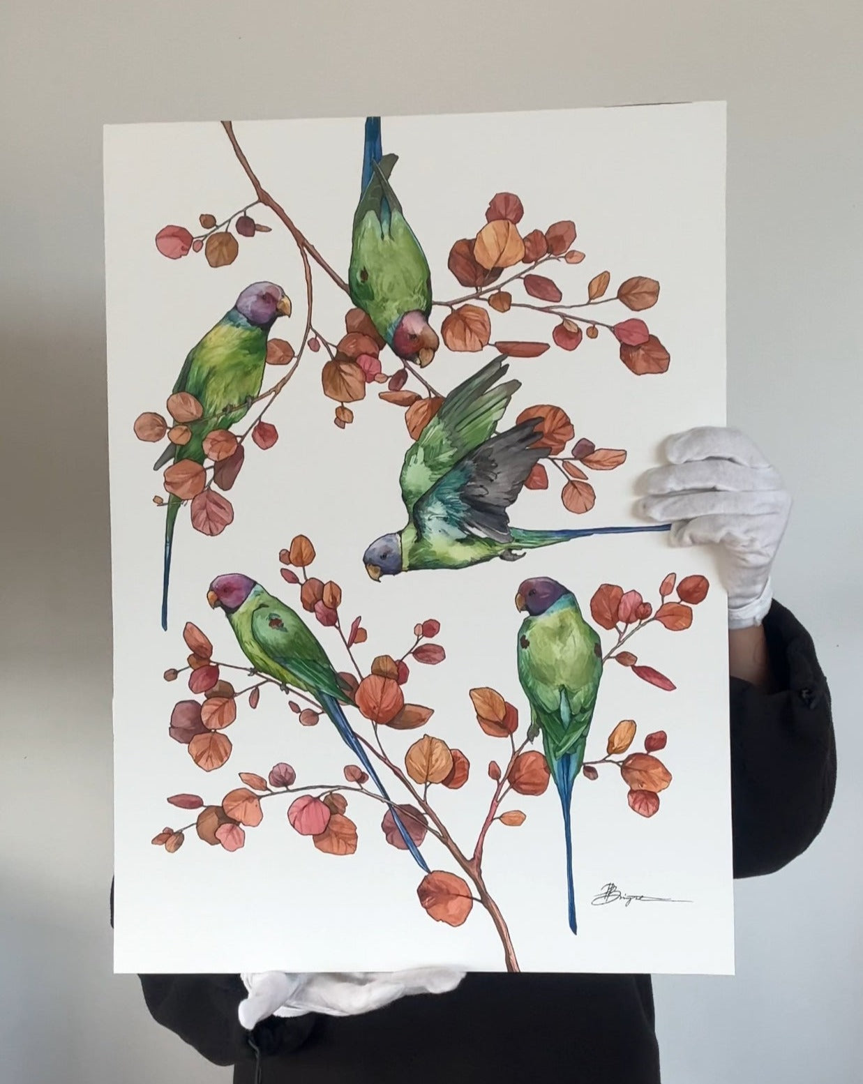 Ring-necked parakeets - original painting