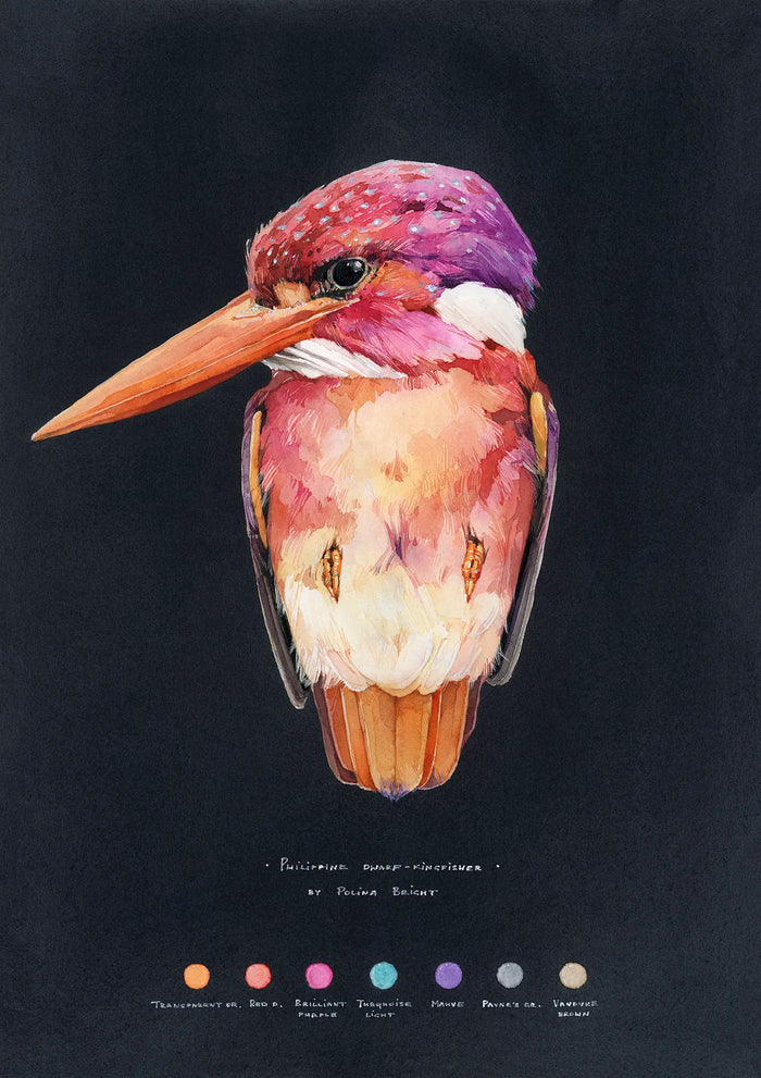 Philippine Dwarf Kingfisher