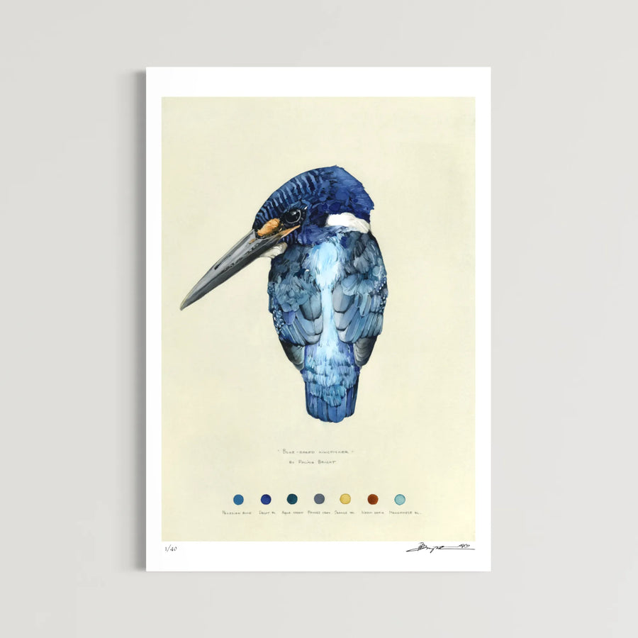 Blue-eared Kingfisher