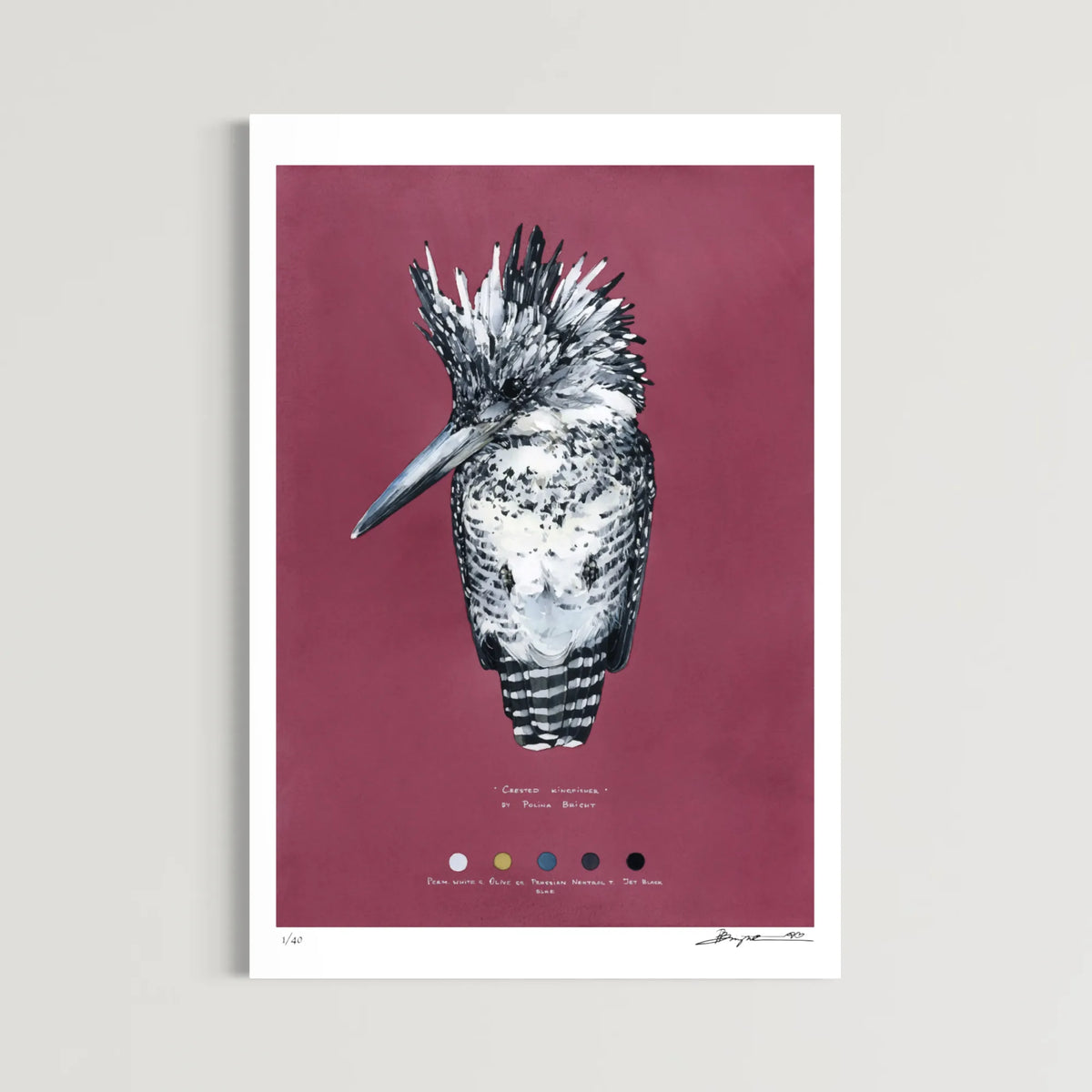 Crested Kingfisher