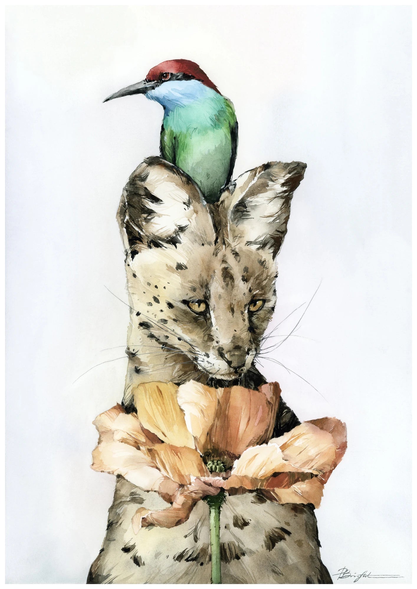 Trio: Bee-eater • Serval • Icelandic poppy by Polina Bright