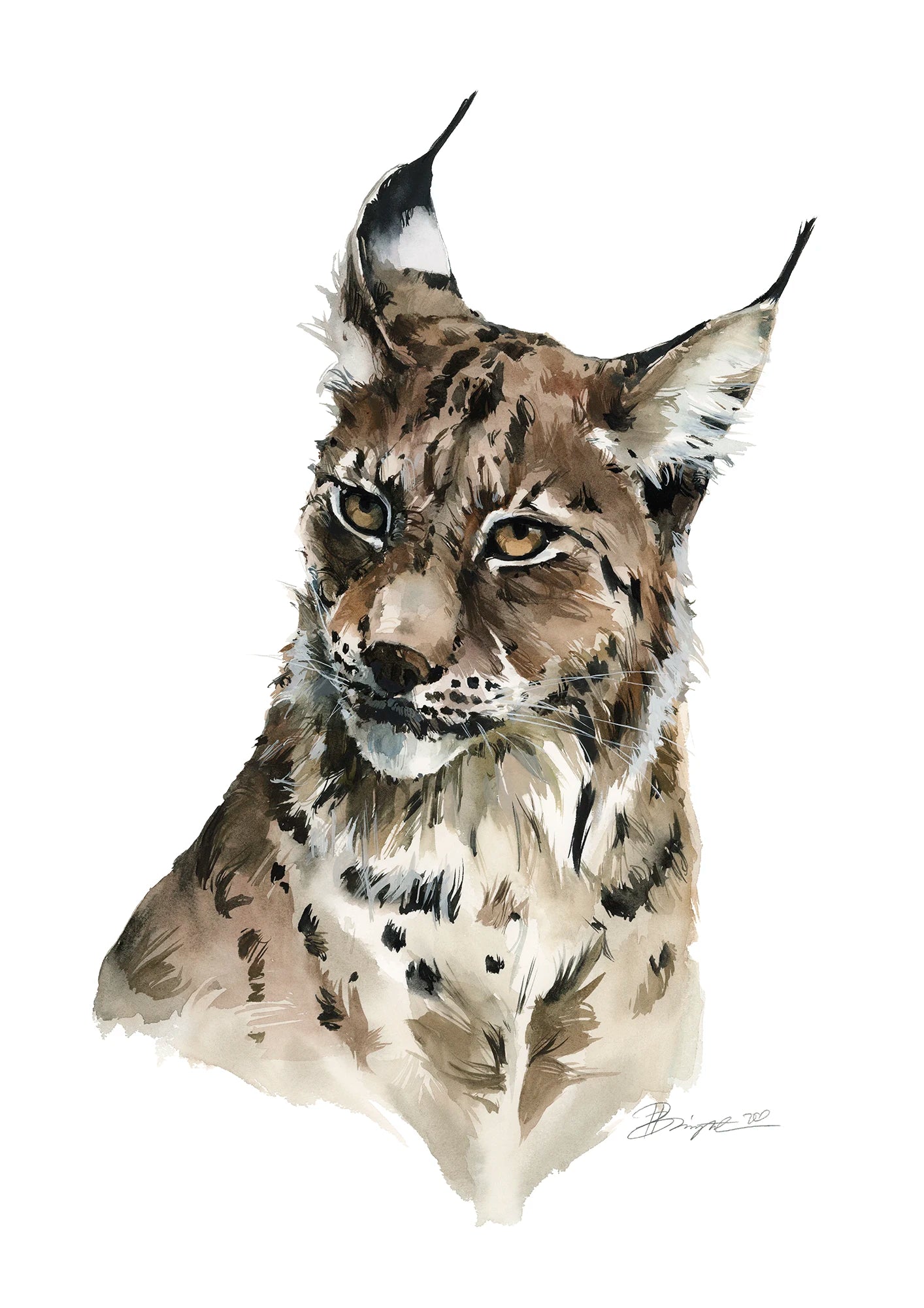 Lynx print by Polina Bright