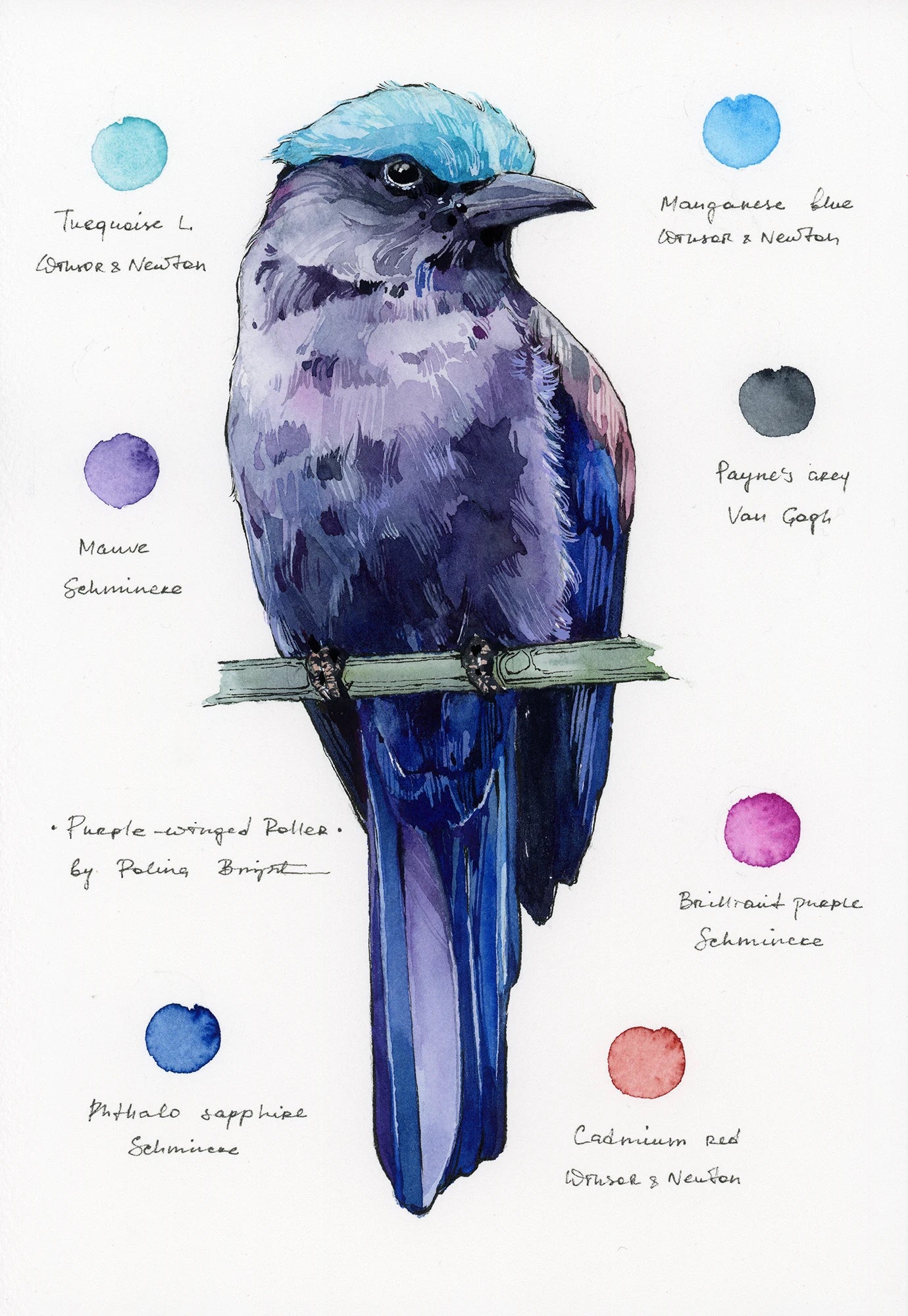 Original artwork "Purple Winged Roller"