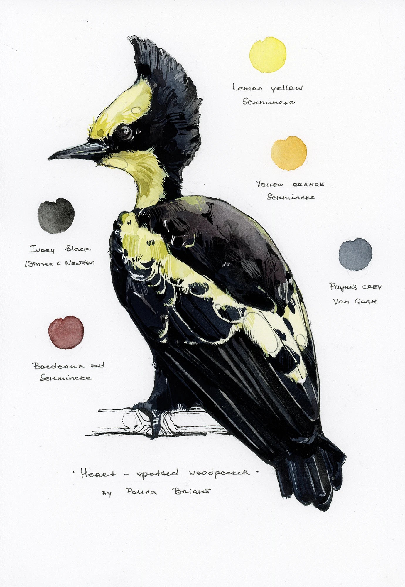 Original artwork "Heart-spotted Woodpecker"