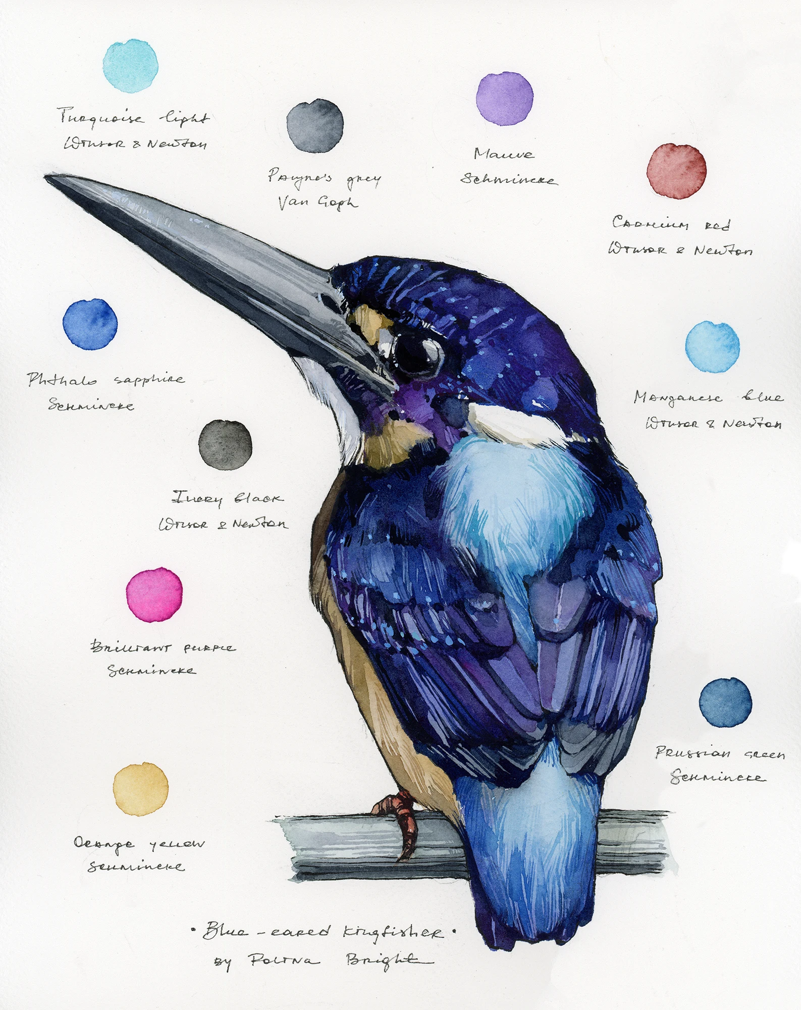 Original artwork "Blue-eared Kingfisher"