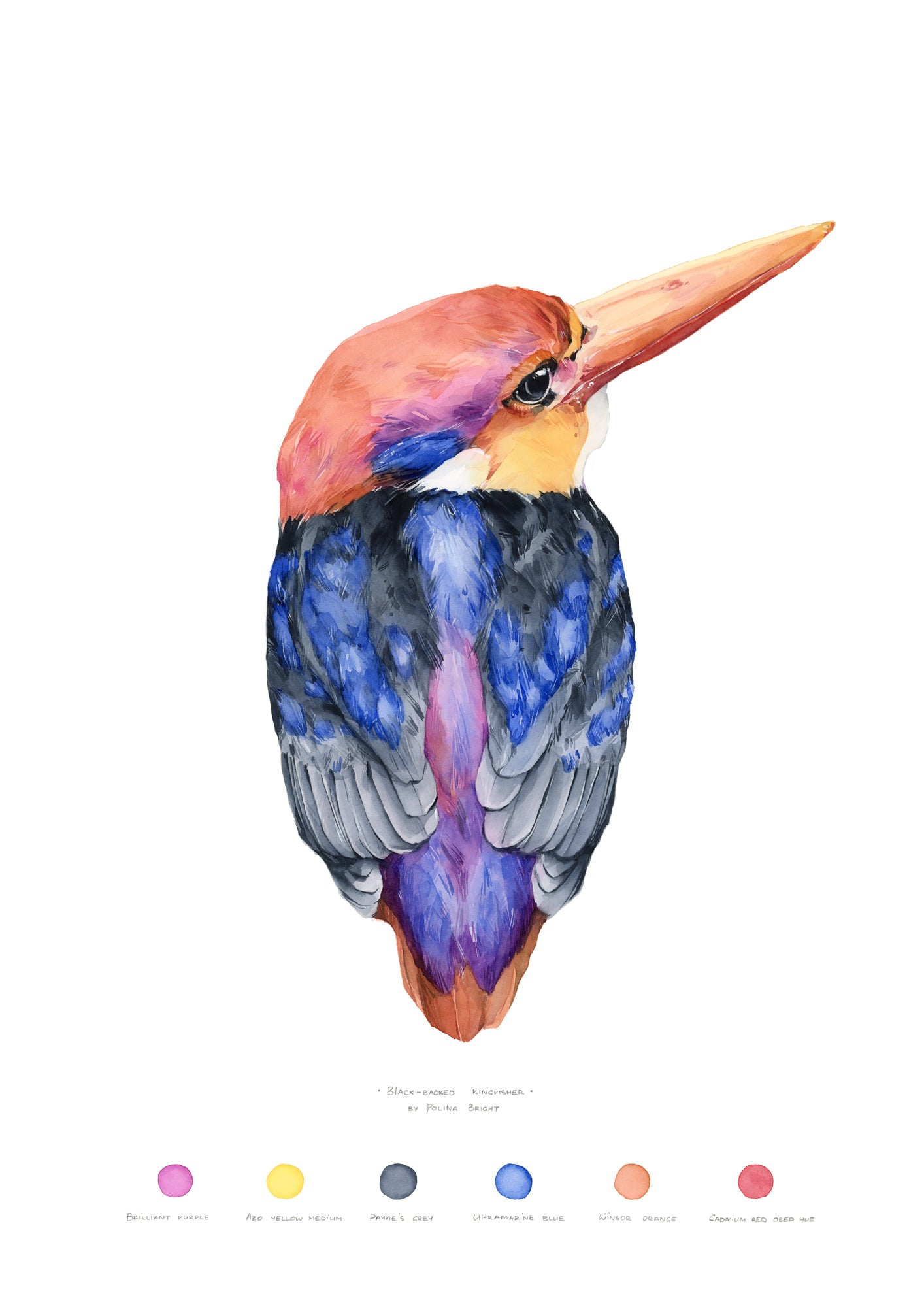 Black Backed Kingfisher by Polina Bright
