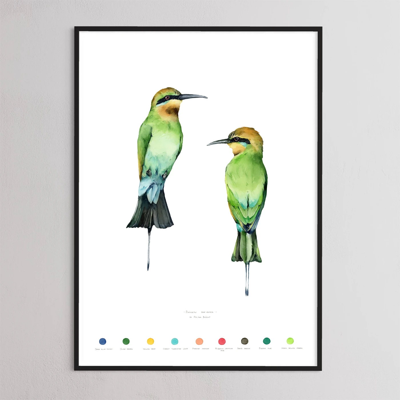 Rainbow bee-eaters by Polina Bright