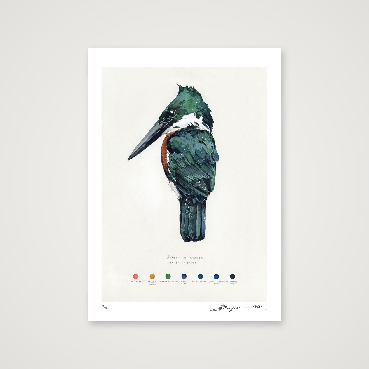 Amazon Kingfisher print, A3+