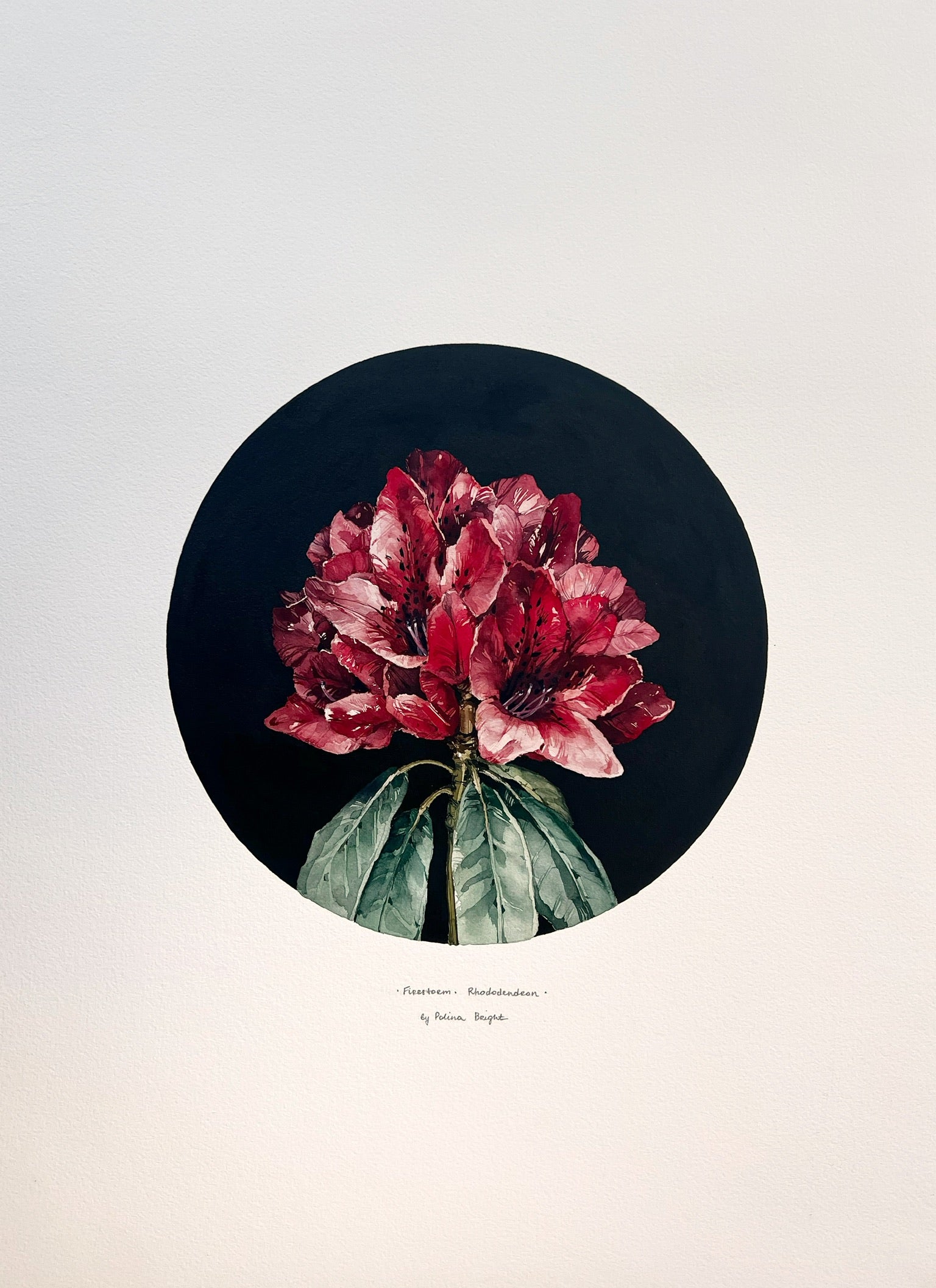 Firestorm rhododendron - original painting