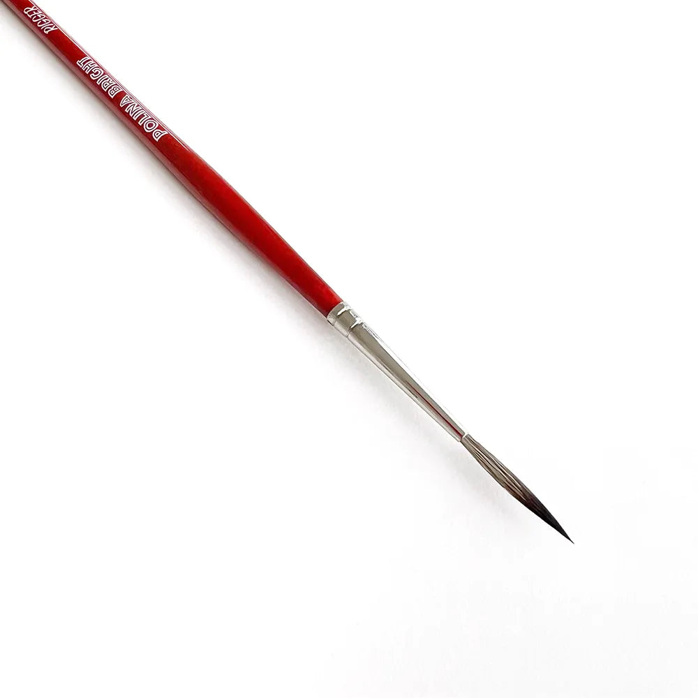 Dream set all Polina Bright brushes Cruelty free & Vegan