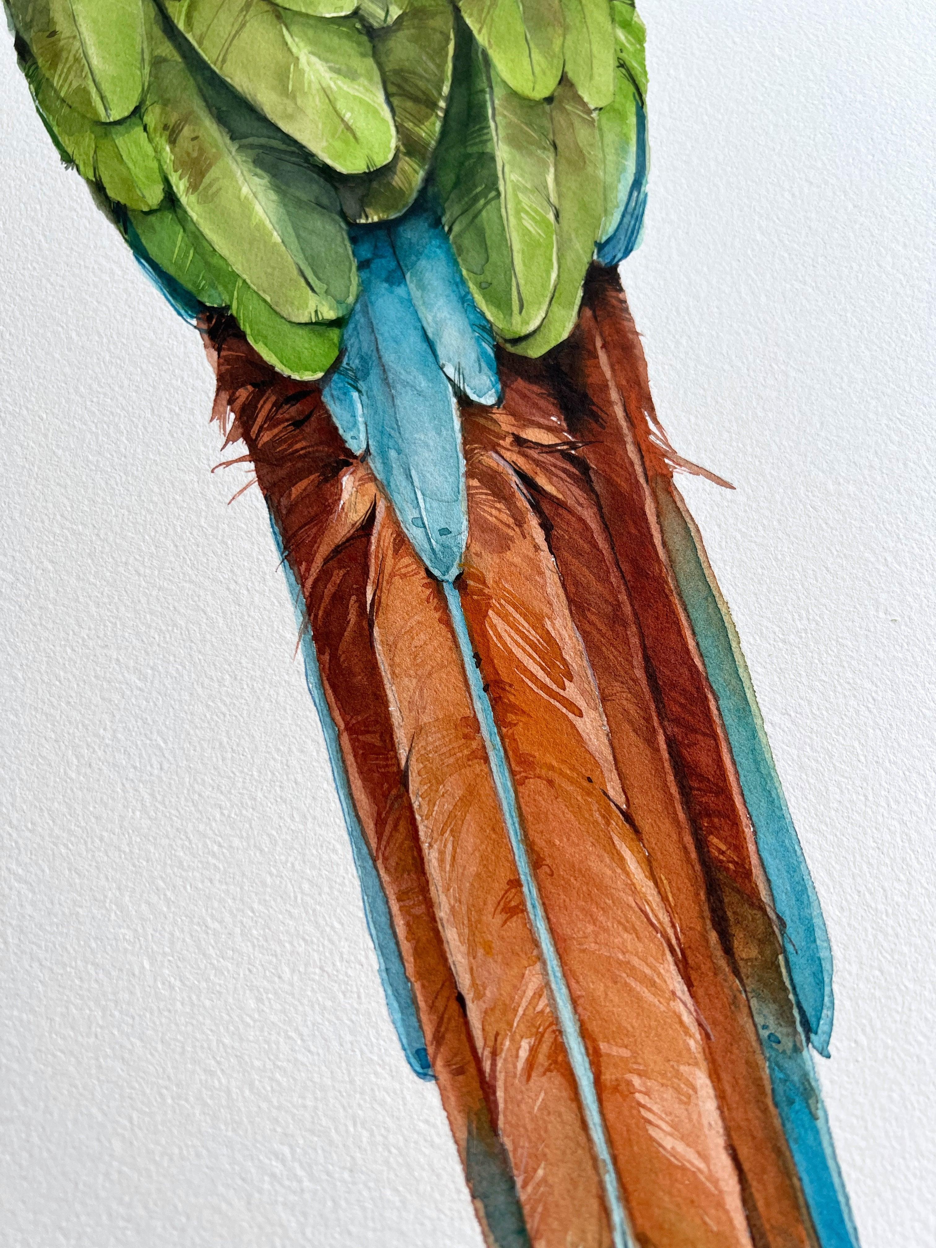 "Military Macaw" - original painting - Polina Bright
